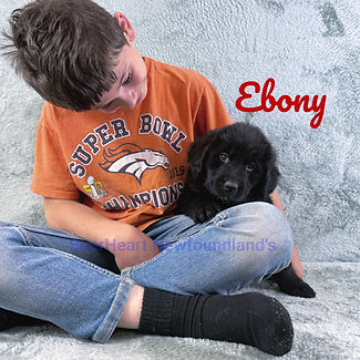 Ebony 7_17_25 _6286_edited.jpg