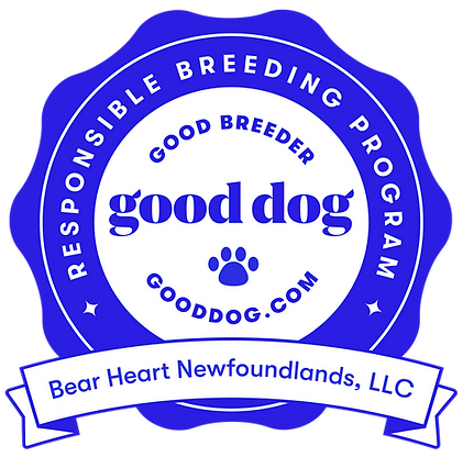 bear-heart-newfoundlands-llc-colorado-badge