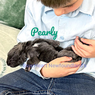 Pearly 7_17_25_4967_edited.jpg