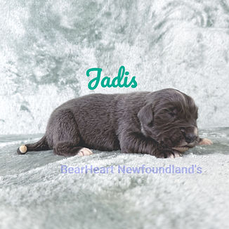 Jadis 10_3_25 _7017_edited.jpg