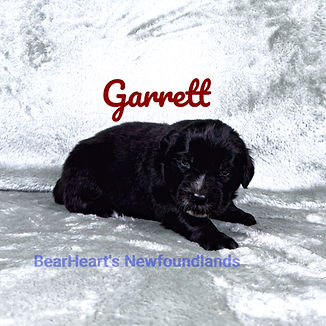 Garrett 9_6_26_5763_edited.jpg