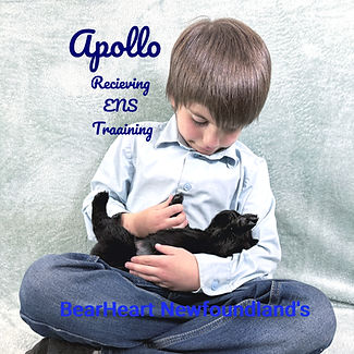 Apollo 11_15_25 _8178_edited.jpg