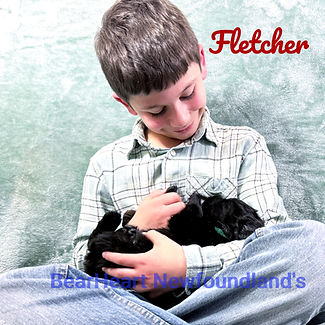 Fletcher 12_24_25_9392_edited.jpg