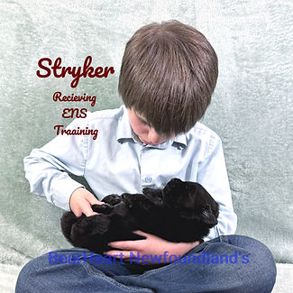 Stryker 11_15_25 _8164_edited.jpg