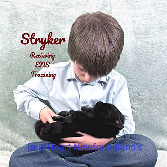 Stryker 11_15_25 _8164_edited.jpg