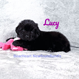 Lucy 4_8_26_2518_edited.jpg