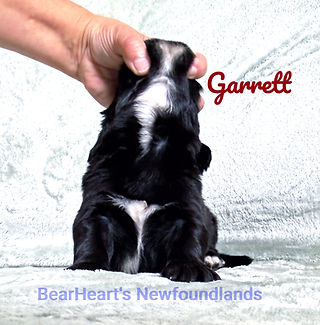 Garrett 9_6_26_5767_edited.jpg