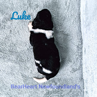 Luke 5_28_26_3022_edited.jpg