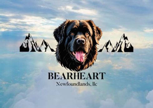 Bearheart Newfoundlands Logo_edited_edited.jpg