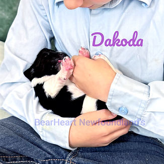 Dakoda 7_17_25 _4985_edited.jpg