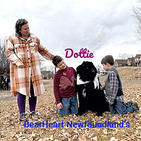 Dottie_8902_edited.jpg