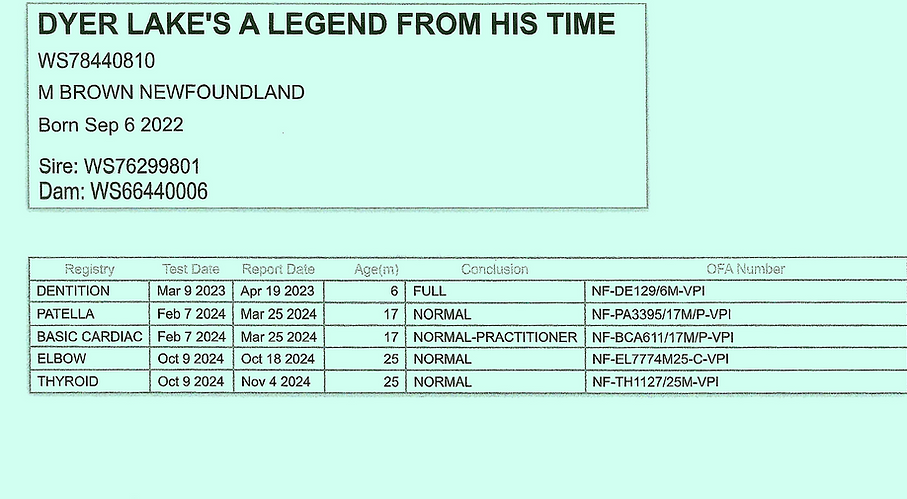 Clarks OFA's_edited.png