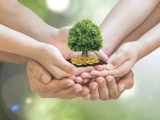What’s Your Inheritance Plan For Your Land?