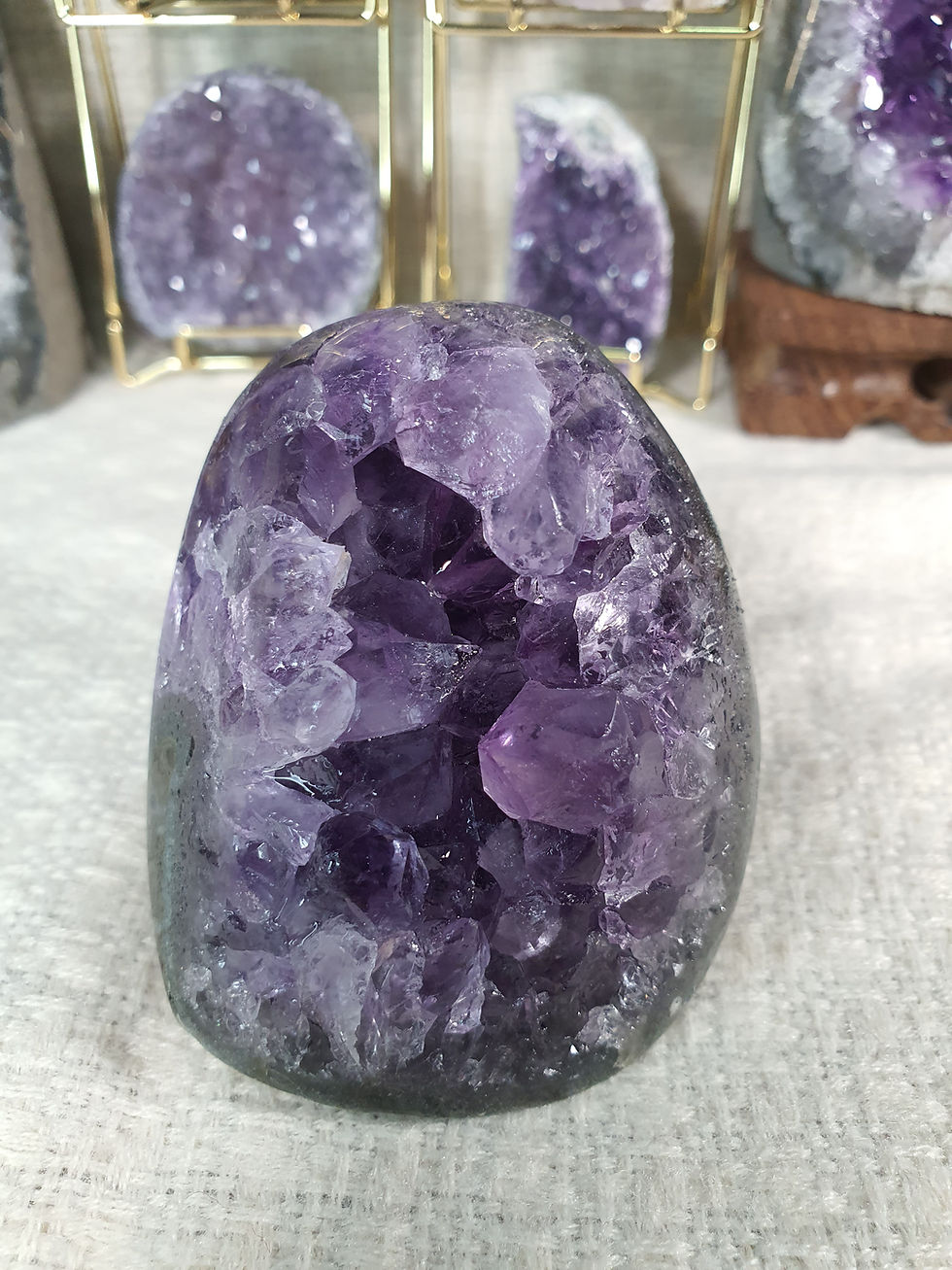 Brazilian Amethyst Geode 322g