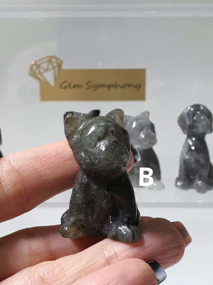 Thumbnail: Crystals carved in  Dogs