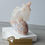 Thumbnail: Unicorn carved in Druzy Sakura Agate 268g H95mm