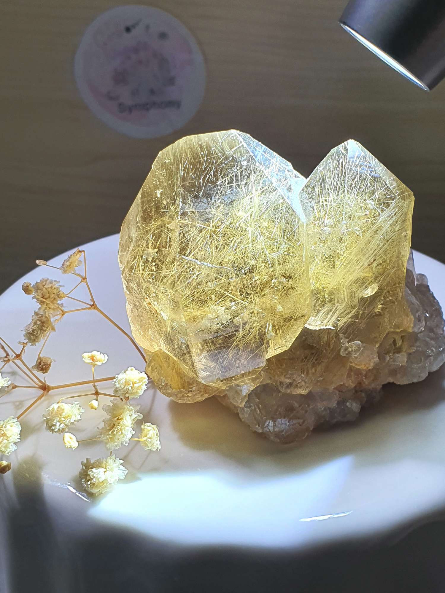 Raw Gold Rutilated quartz cluster * clearance sale