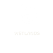 My Post (16).png