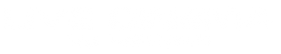 LIVECINEMAVJVISUALS.png