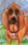 petcaricature15