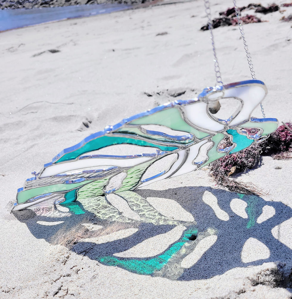 Extra Large Monstera Obliqua