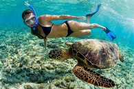 snorkeling-with-sea-turtle-cozumel-mexico_edited.jpg