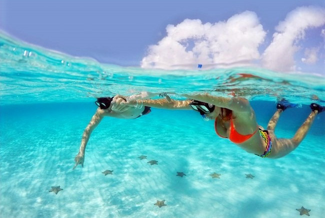 starfish el cielo cozumel snorkeling tour