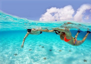 starfish el cielo snorkel tour cozumel