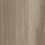 Thumbnail: MANCHURIAN WALNUT