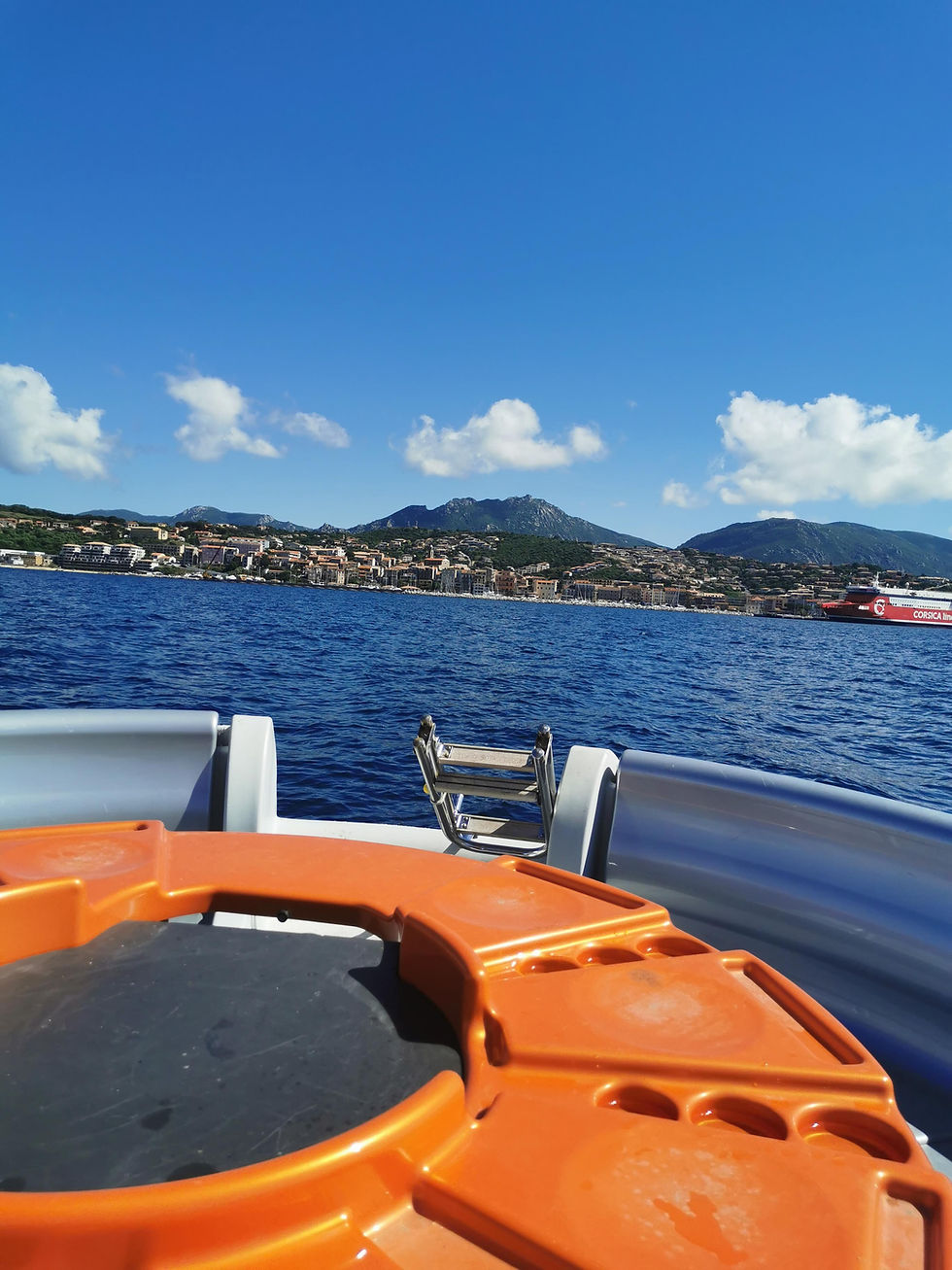 BBQ Boat 9 places Propriano