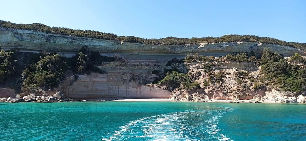 Catamaran dernière génération 28 personnes Porto Vecchio Corse (6)