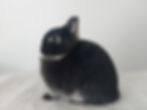 20220416_142348 - Copie