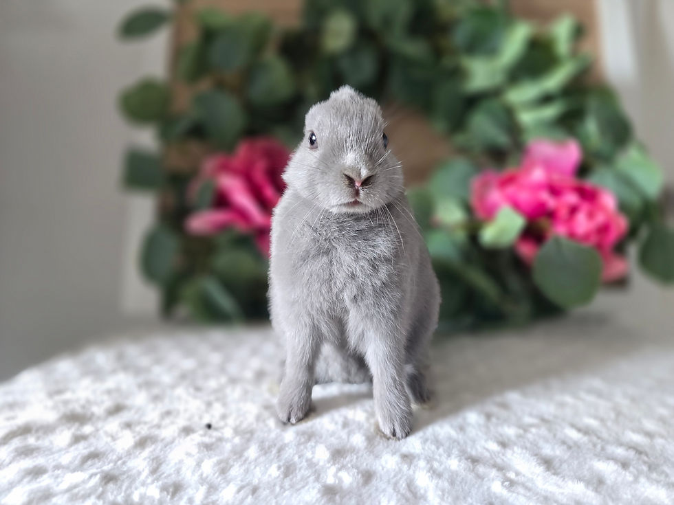 20250516_093446_resized