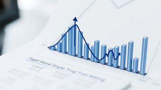 Saudi Arabia vs. the United States: A Comparative Look at Capital Market Regulation