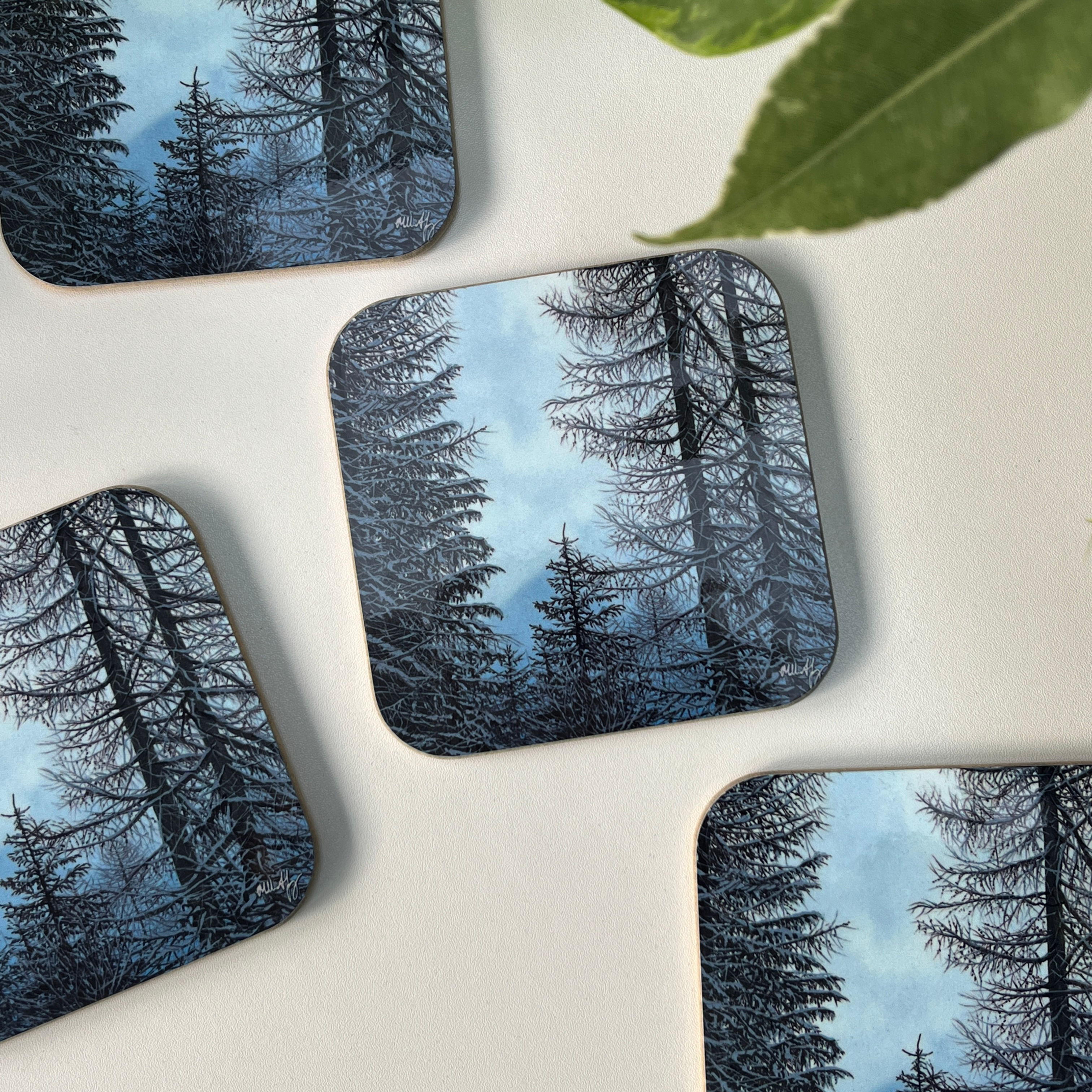 ‘Nature’s Solitude’ Coasters (set of four)