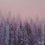 Thumbnail: 'Blush Frost'