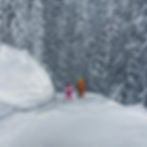 Thumbnail: 'Ski buddies'
