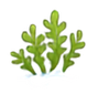 Sahrai King Logo (13).png