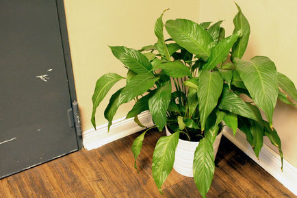 Postcard
Mail Art
Installation
Abandoned Spaces
Uninteresting Spaces
Undesirable locations
empty spaces
old buildings
recycling plant
recycling
beauty
banal 
lonely moments
wish you could be here
wish
you could be here
what if