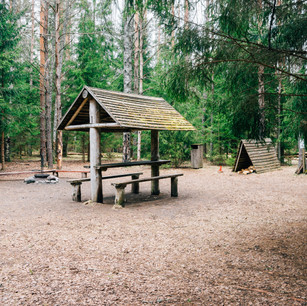 AdobeStock_145099350.jpeg