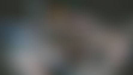 עלייה מכל הדלתות