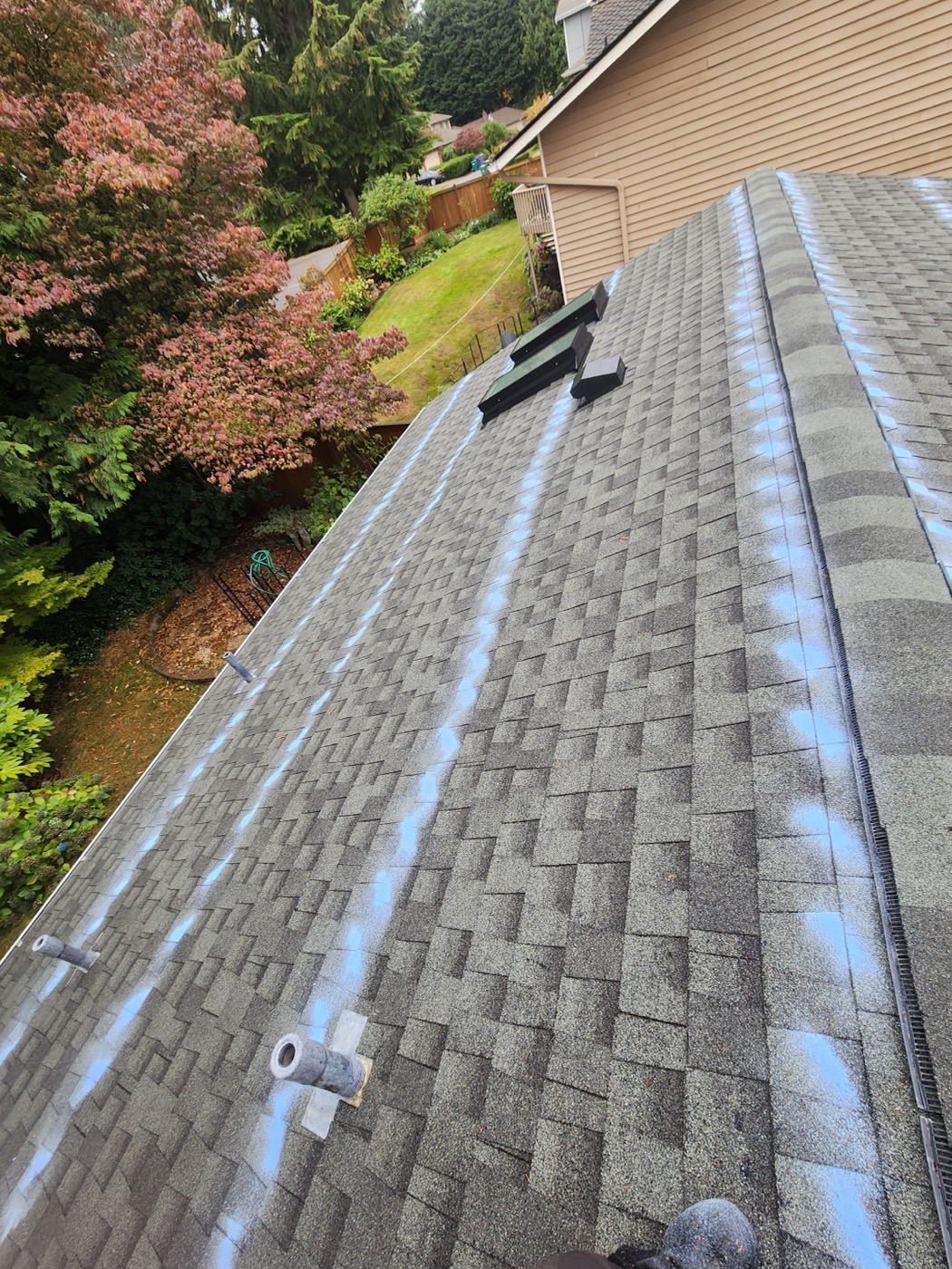 Fenix Roof Service roof wash project