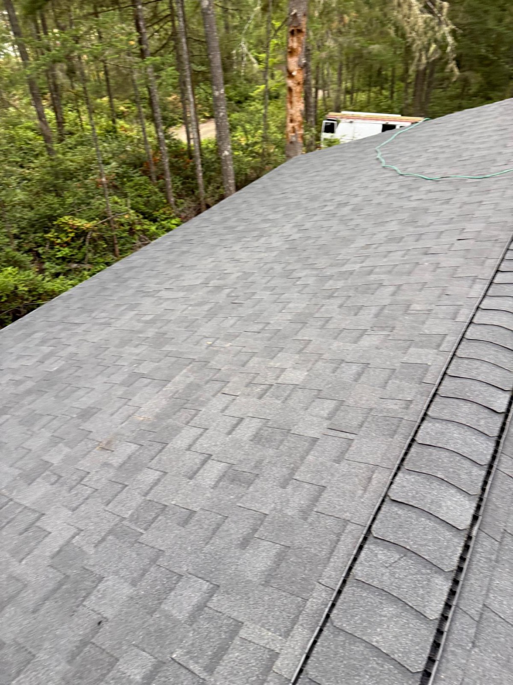 Fenix Roof Service new shingle roof