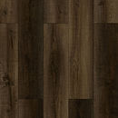 260124 - Perspective_thumb.jpg