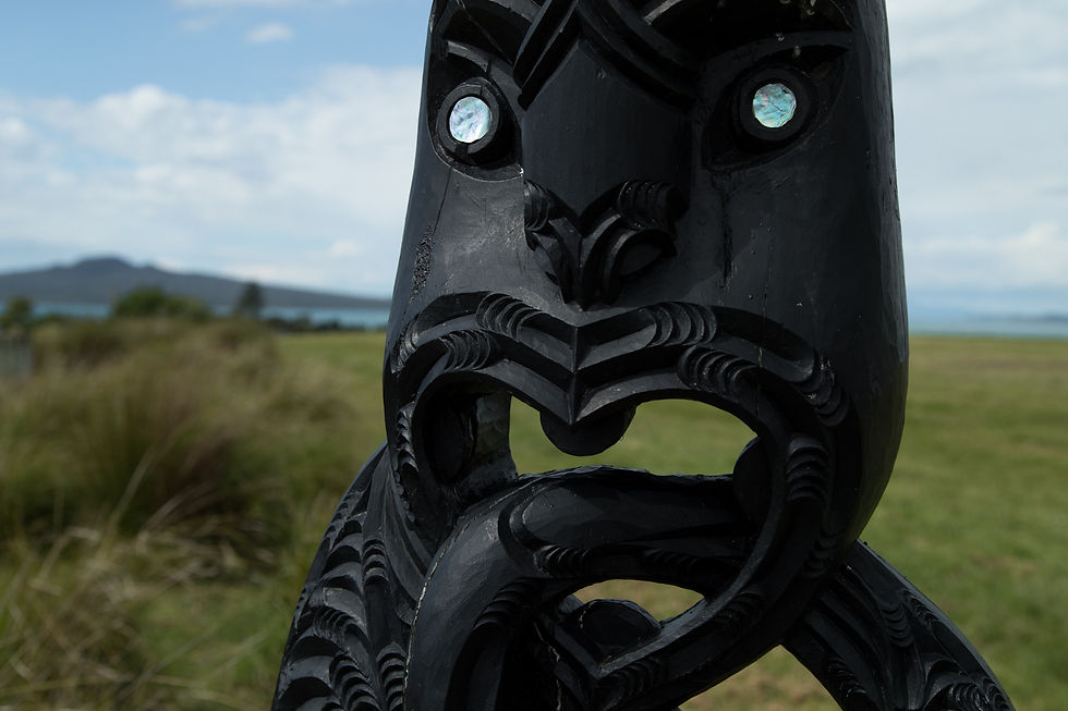 20190625_Takaparawhau_3.jpg