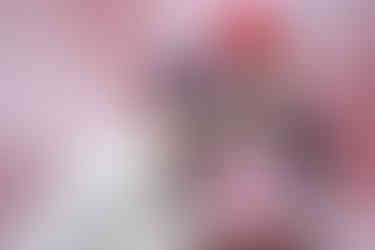 Man woman and child using a photo booth for hire in Adelaide