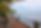 Springtime stroll along the promenade (1).png