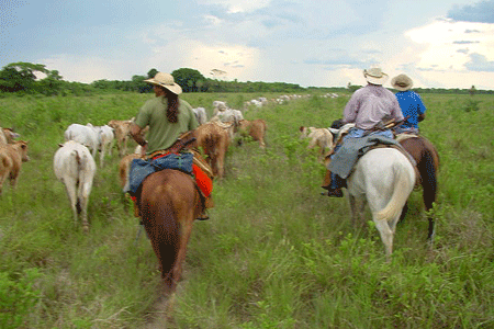 Horseback Riding | Pantanal Trackers Tour