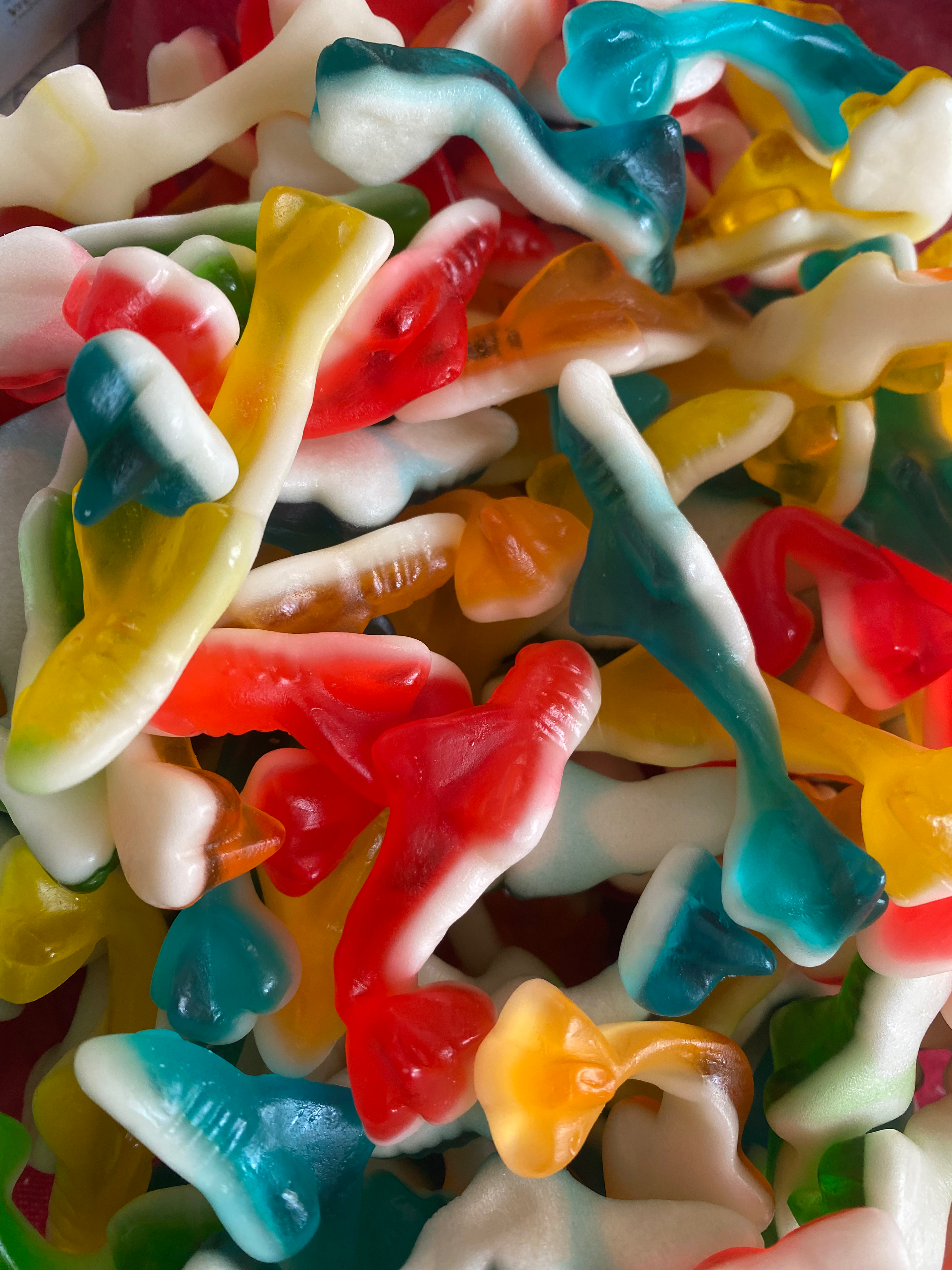 Petit requin lisse 100g 