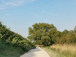greens IMG_20190523_200036-01.jpeg